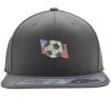 Flexfit 110F Structured Flat Bill Snapback Hat Thumbnail