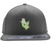 Flexfit 110F Structured Flat Bill Snapback Hat Thumbnail
