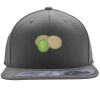 Flexfit 110F Structured Flat Bill Snapback Hat Thumbnail