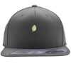 Flexfit 110F Structured Flat Bill Snapback Hat Thumbnail