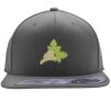 Flexfit 110F Structured Flat Bill Snapback Hat Thumbnail