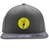 Flexfit 110F Structured Flat Bill Snapback Hat Thumbnail