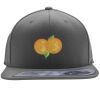 Flexfit 110F Structured Flat Bill Snapback Hat Thumbnail