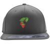 Flexfit 110F Structured Flat Bill Snapback Hat Thumbnail