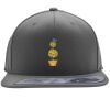 Flexfit 110F Structured Flat Bill Snapback Hat Thumbnail